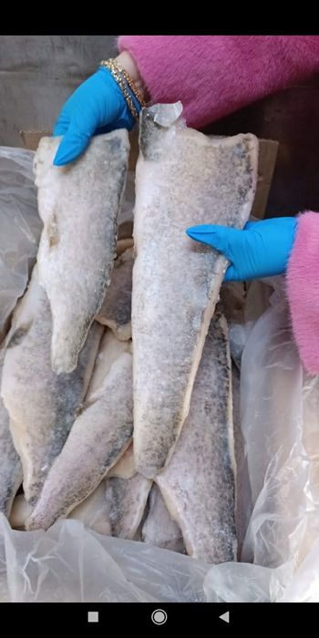 Рыба свежая оптом