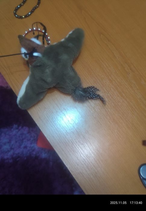 Jucarie pisicute - Cat toy