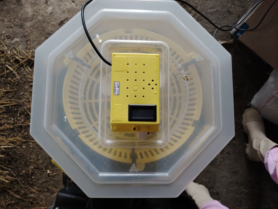 Vând clocitoare electrică