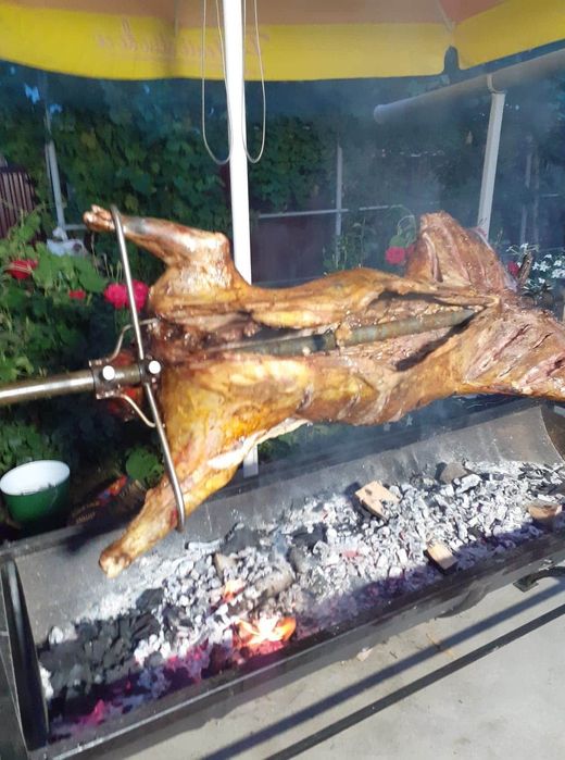 Vând/ închiriez rotisor protap electric