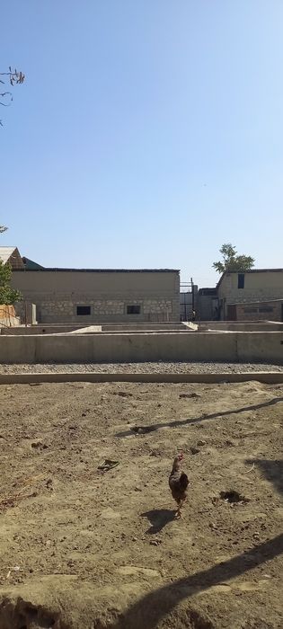 Хатирчи центрда ховли участка