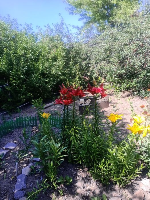 Продам дачу.за дамбой.Металлист