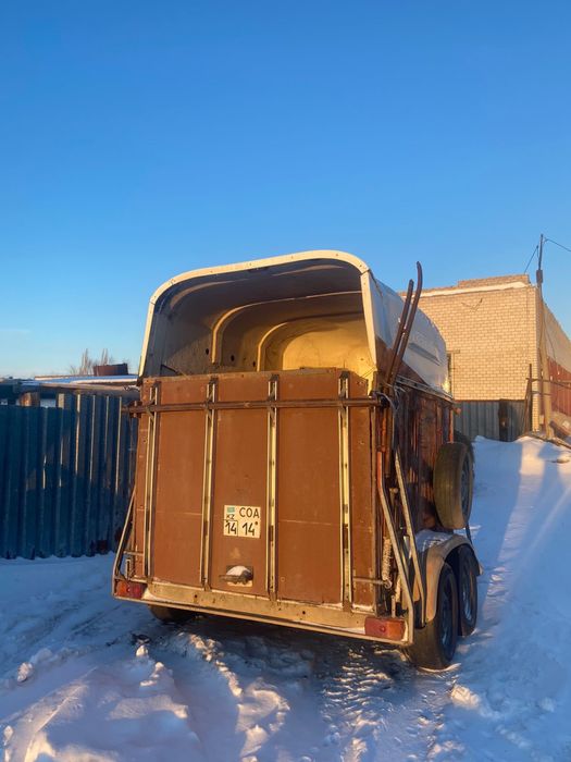 Продам коневозку