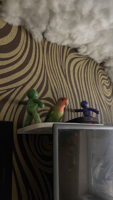 Продам неразлучника