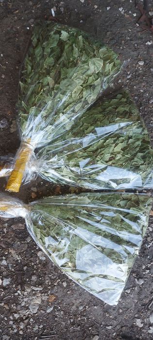 берёзовые веники для бани,