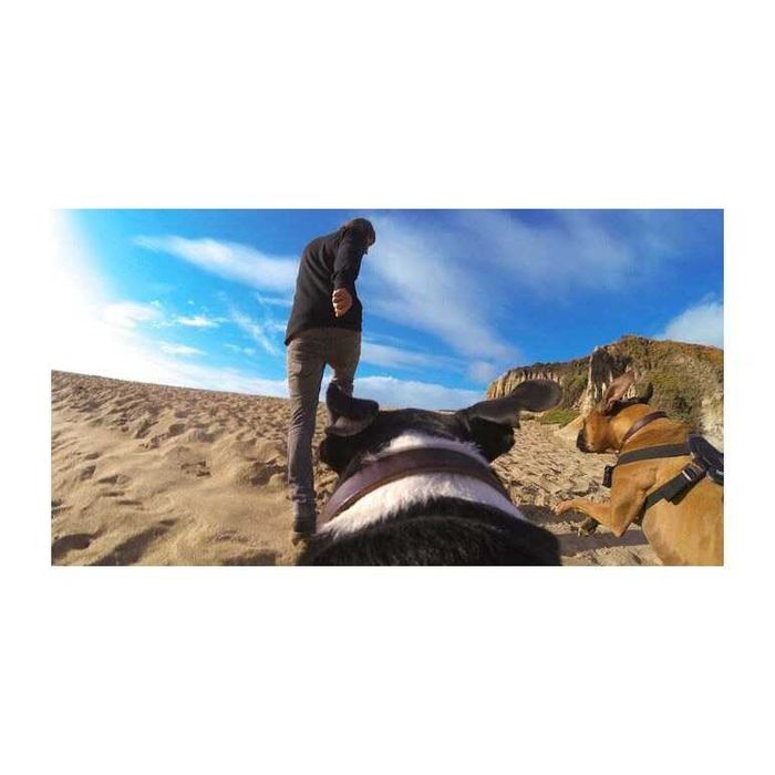 Prindere ham caine pt. camera actiune GoPro Insta360 Dji ham