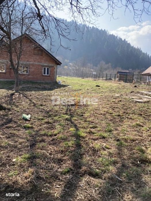 Casa cu teren Negulesti 3400mp