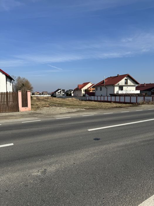 Teren. Magura . Farbe