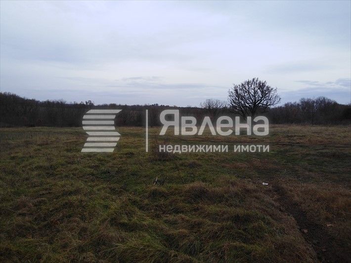 Продава се Земеделски имот в с. Варвара, Област Бургас -  кв.м за 52 €/дка - Снимка #4