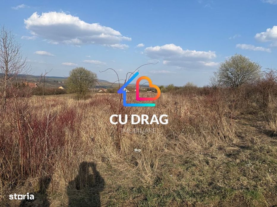 Teren intravilan cu toate utilitatile si drum amenajat Daia