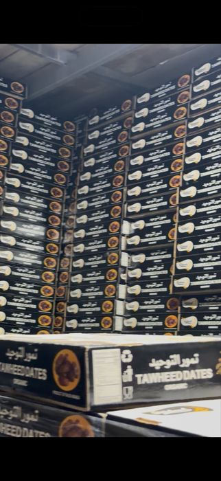 Финиковый сад, финики, курма