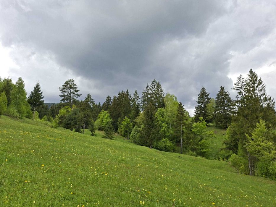 Teren pentru investitii in zona montana