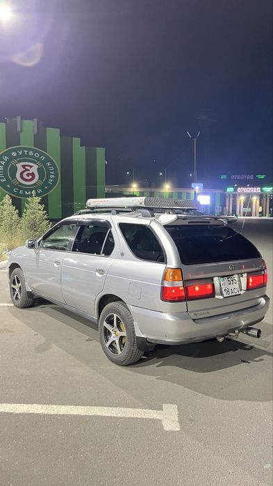 Продам живой корабел