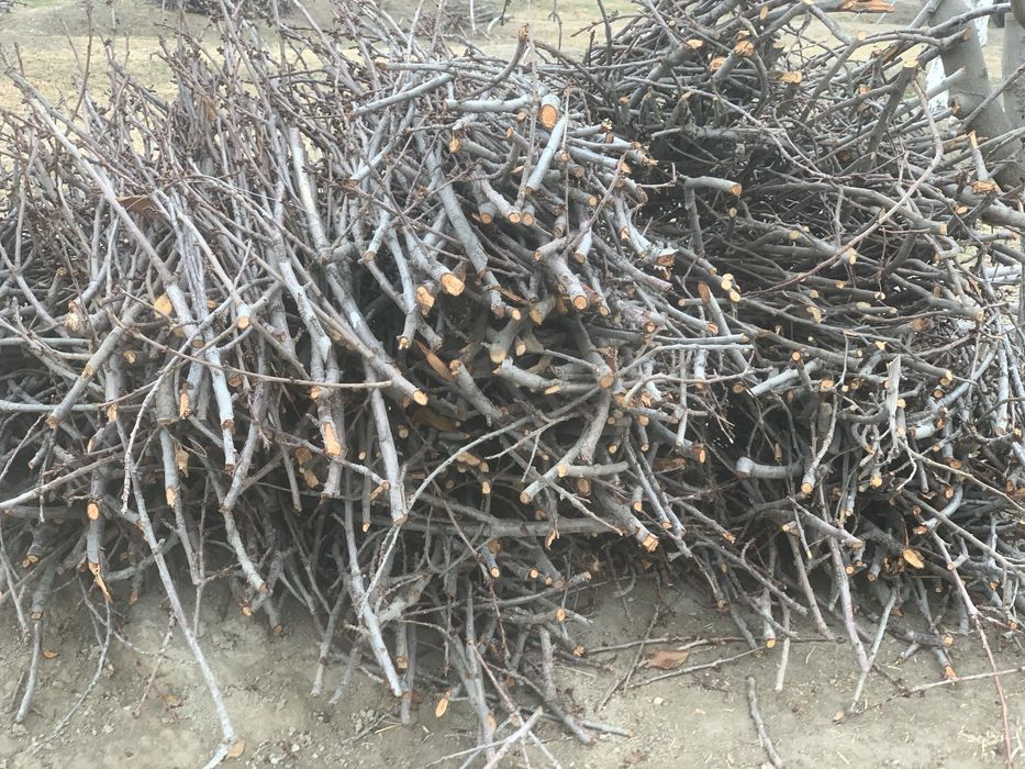 O’tin sotiladi narxini kelishamiz