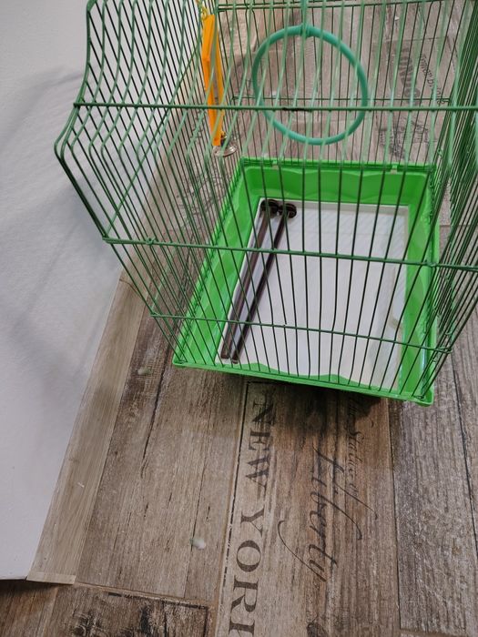 Vând colivie păsări exotice