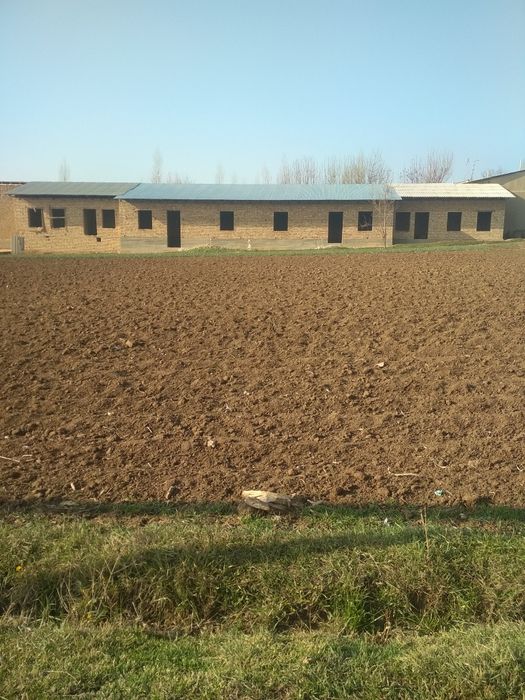 Обмен бор.Келес Кук теракда 24 соток участка сотилади.