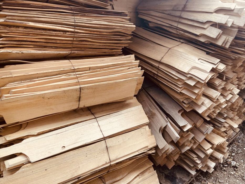 Sindrila / sita / dranita cu TRATAMENT