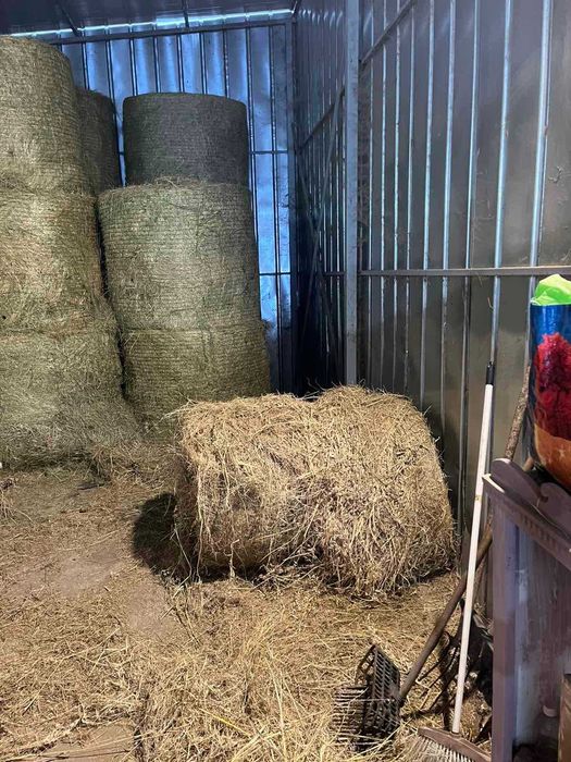Ролонки сухо ливадно сено
