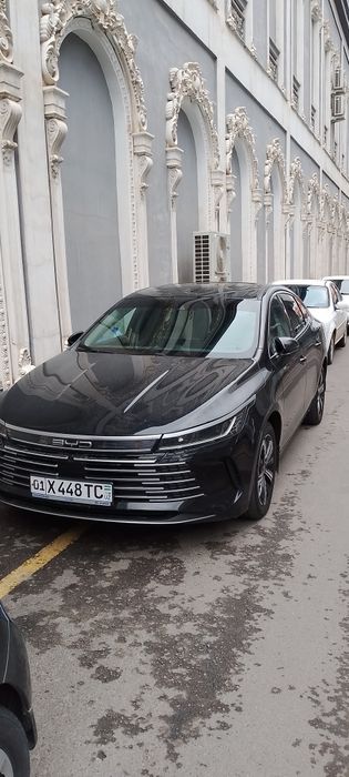 Личный водитель | Семейный водитель | BYD Chazor | Комфортные поездки