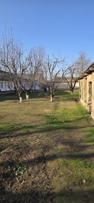 Дурмон.цен.6сот.ер хусусий.