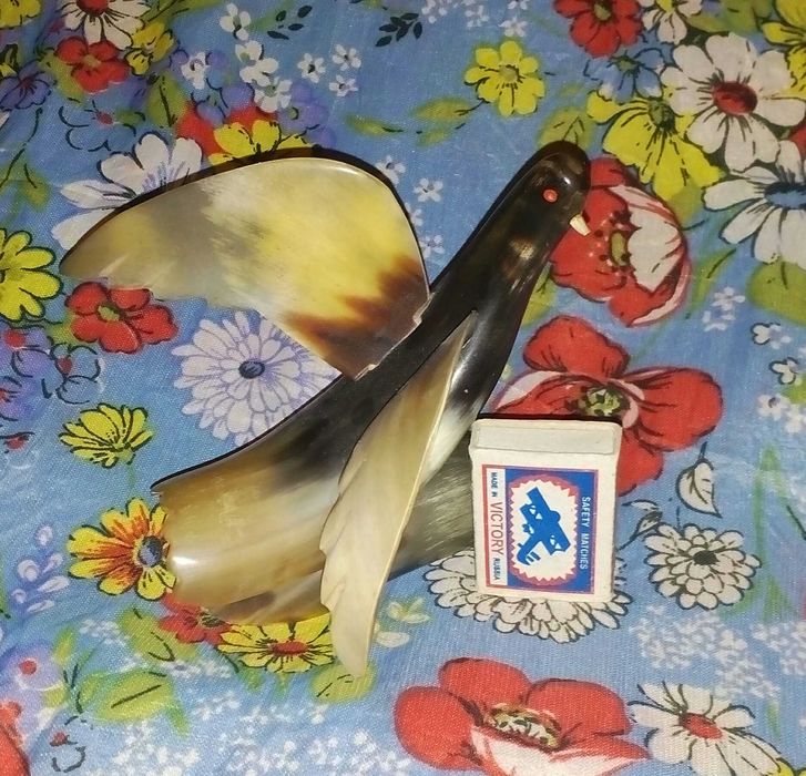 Голубь Из Рога КРС Целиноград КазССР