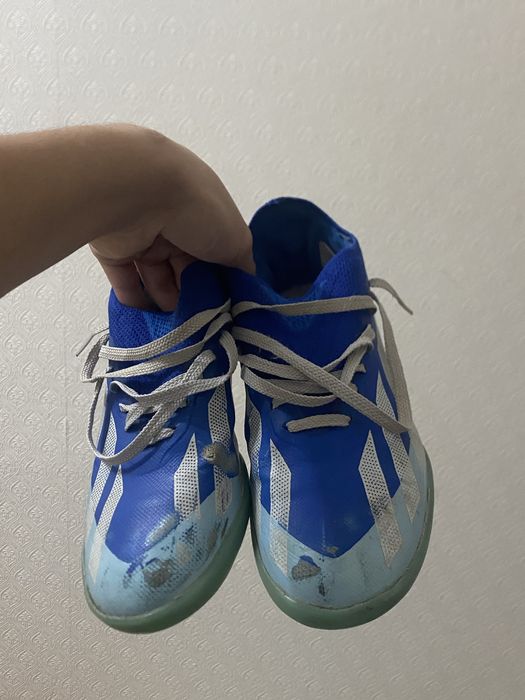 продам сороконожки