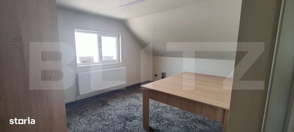 „Casa Lily” – Cladire Emblematica cu Potential Comercial Except