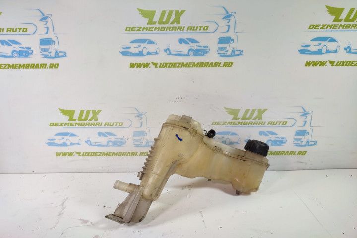 Vas expansiune 217100014r Renault Laguna 3 (facelift) (2011 - 2015) m9r
