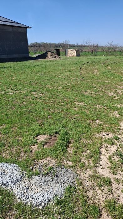 Участок 8 соток сайрамская улица 65