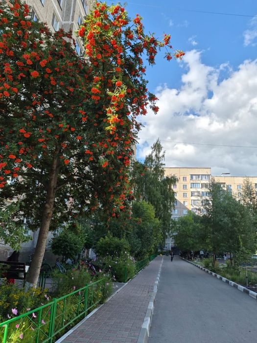 Продажа 3 ком.квартиры. Новая