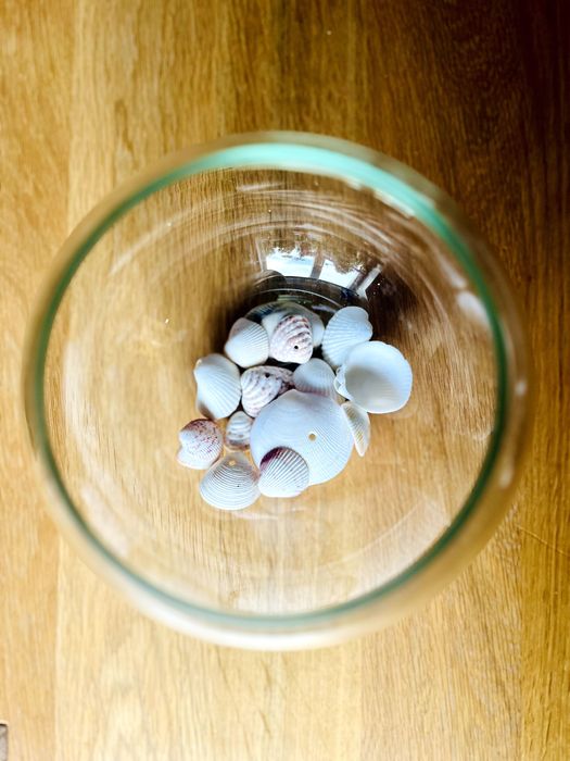 Малък стъклен аквариум за рибки - 5 литра