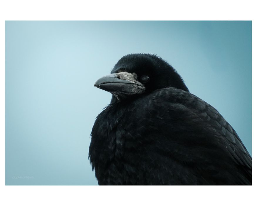 Obiectiv Fujifilm XF 18-300mm f/3.5-6.3 R LM OIS WR

Descriere: