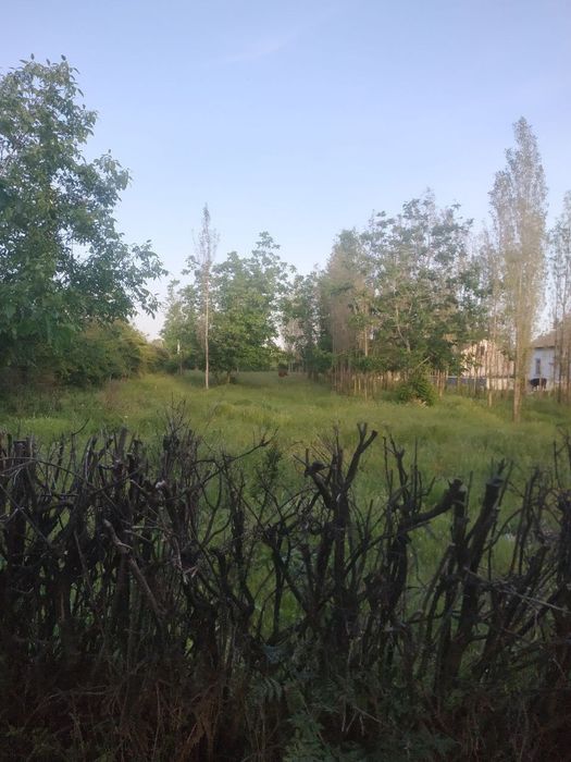 Жонбой  туман  бешбола махаласи 5 БИРГАД Ер сотилад 15 сотих