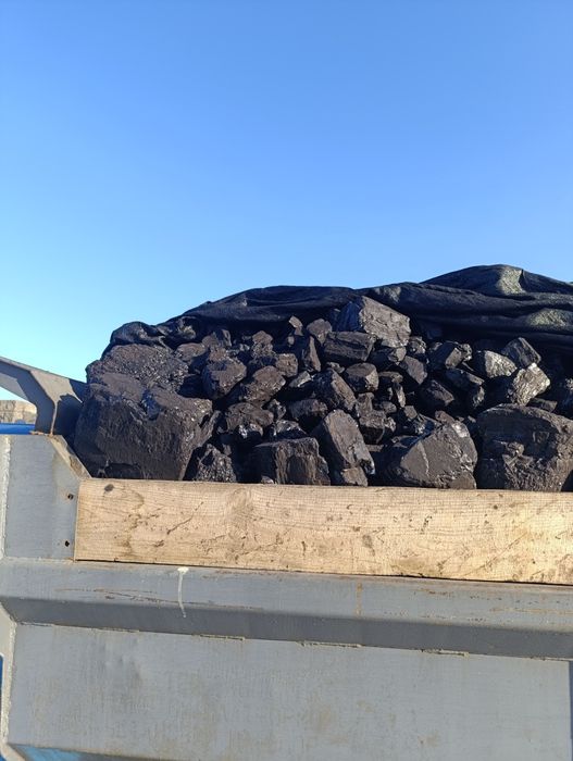 Уголь көмір шубаркуль сортовой