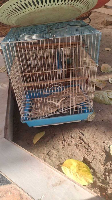 кафас кушлар учун   сотилади