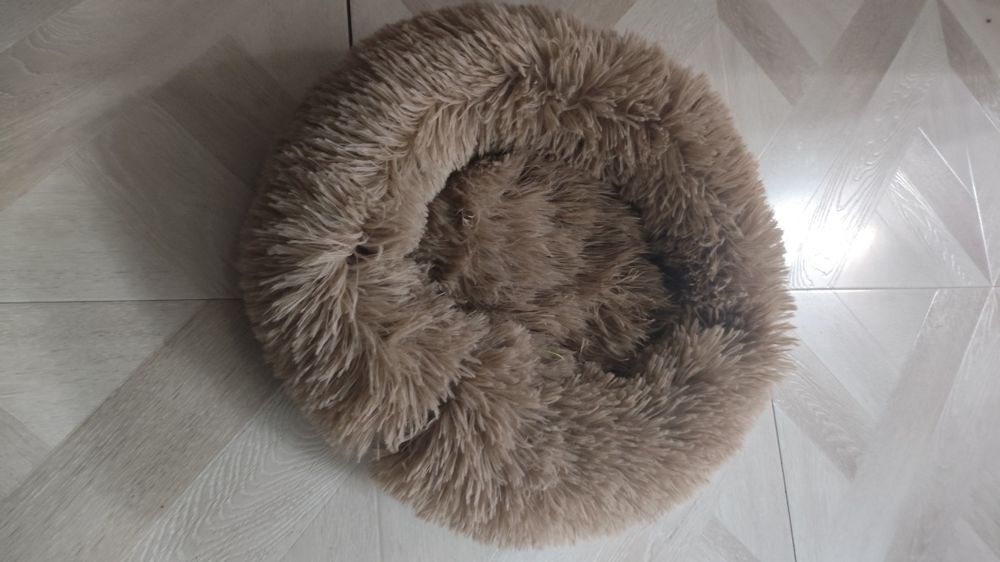 Лежанка для котят.