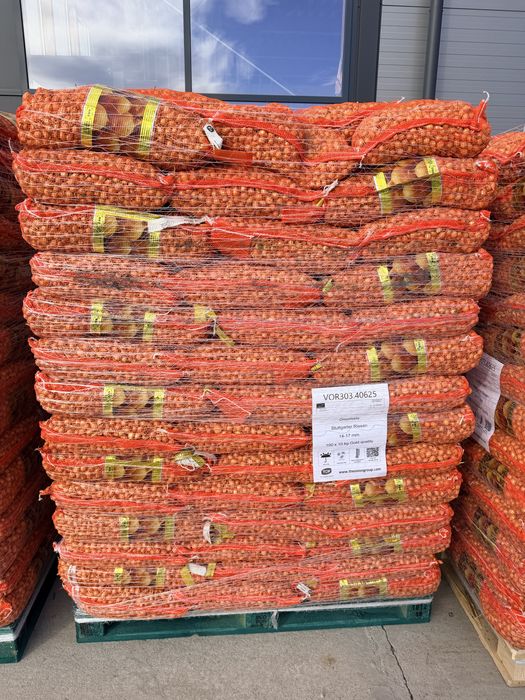 Vand arpagic Olanda, Stuttgarter, Rosu, 14/17