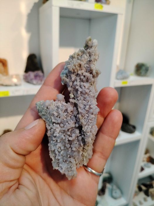 Гроздов ахат, много изгодно