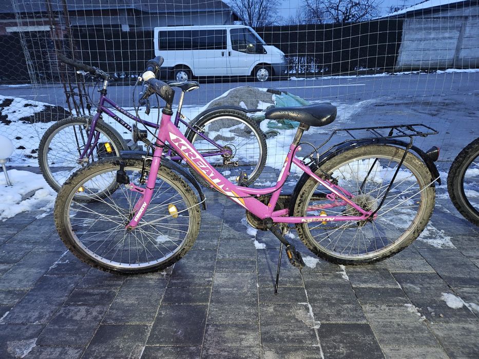 bicicleta de fete/femei