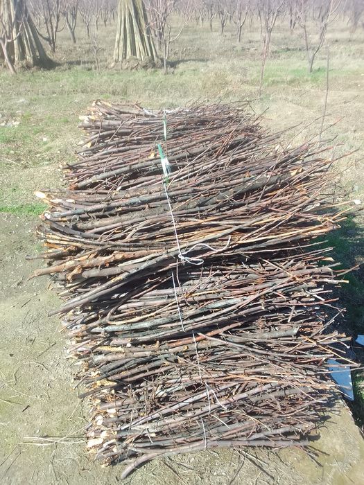 Утин тандирга сотилади