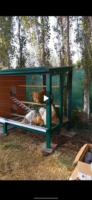 2 xona 2 etajli qishki yozgi