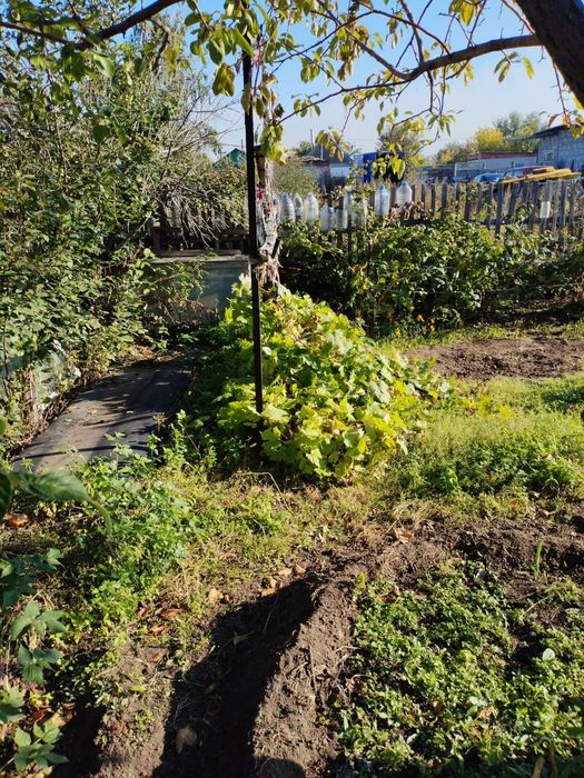 Продам дачу садоводство " яблонька"