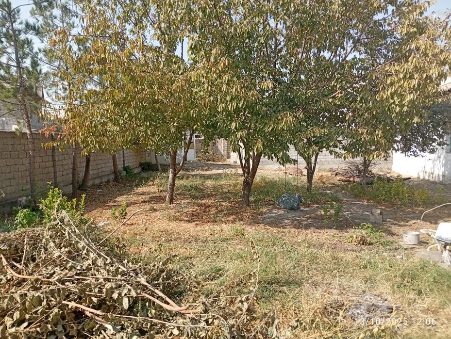 Yer sotiladi 2.sotik sotiki 12$mingdan