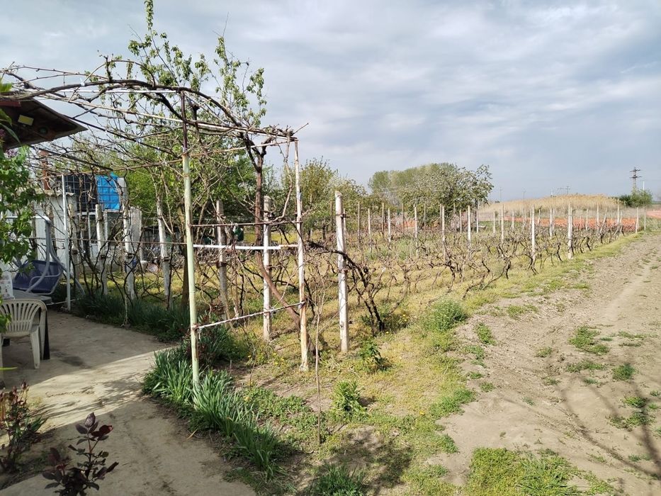 Vand , inchieiez casa gropeni