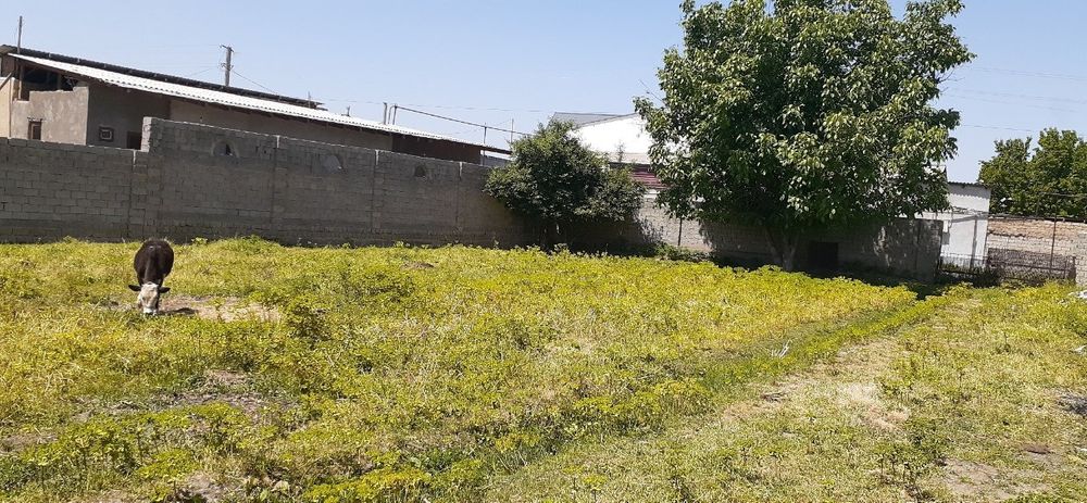 Етти сотихли ер сотилади