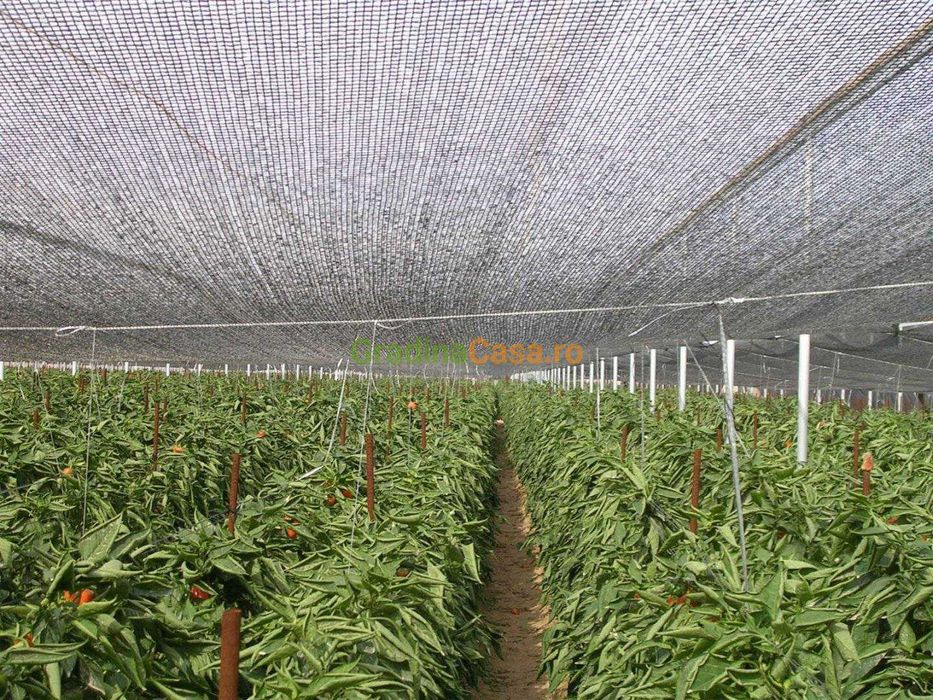 Umbrire/Protectie SOLAR Livrare rapida Productie GRECIA Garantie 4 ani