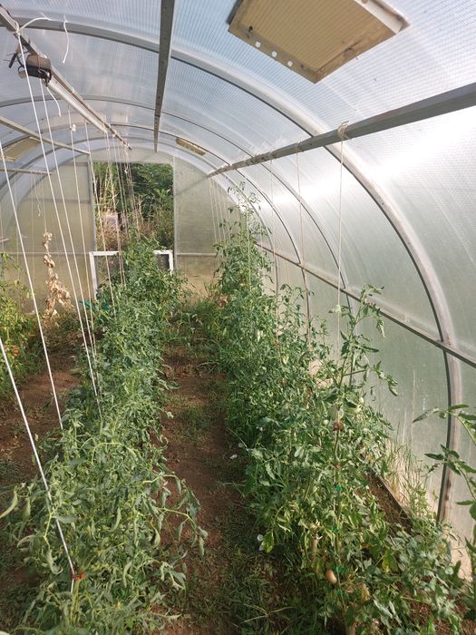 Оранжерия 6х3х2 Приматера