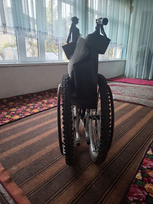 Nogironlik aravachasi va xodyonka