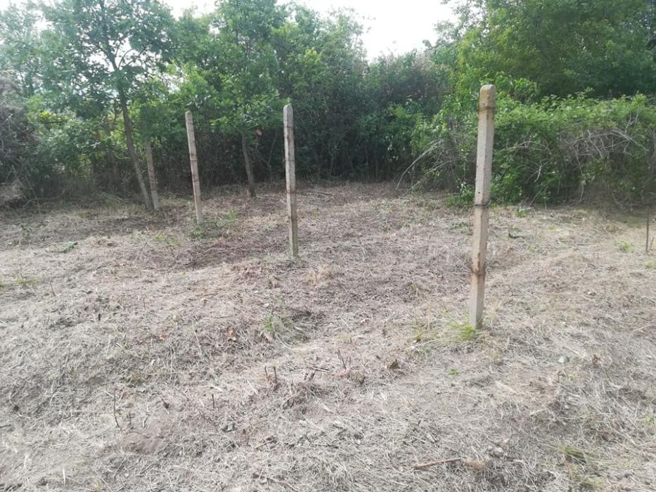 Косене/Рязане/Оформяне/Поддръжка/Почистване/Пръскане