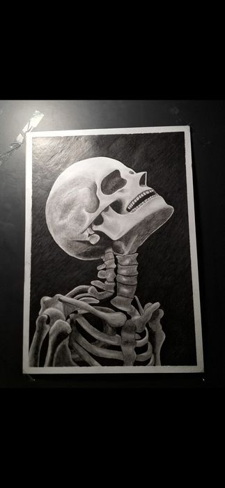 Tablou / Desen manual A3 – Anatomie / Schelet în creion